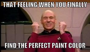 Happy Picard | THAT FEELING WHEN YOU FINALLY FIND THE PERFECT PAINT COLOR | image tagged in paint | made w/ Imgflip meme maker