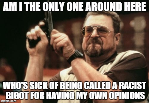 Am I The Only One Around Here | AM I THE ONLY ONE AROUND HERE WHO'S SICK OF BEING CALLED A RACIST BIGOT FOR HAVING MY OWN OPINIONS | image tagged in memes,am i the only one around here | made w/ Imgflip meme maker