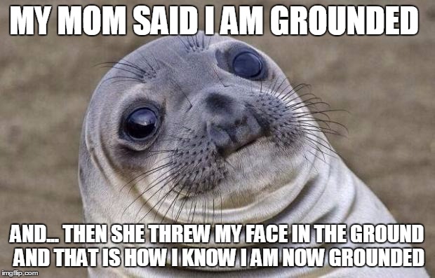 Awkward Moment Sealion Meme | MY MOM SAID I AM GROUNDED AND... THEN SHE THREW MY FACE IN THE GROUND AND THAT IS HOW I KNOW I AM NOW GROUNDED | image tagged in memes,awkward moment sealion | made w/ Imgflip meme maker