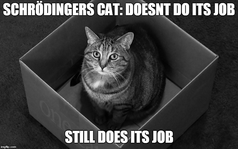 SCHRÖDINGERS CAT:DOESNT DO ITS JOB STILL DOES ITS JOB | image tagged in does job | made w/ Imgflip meme maker