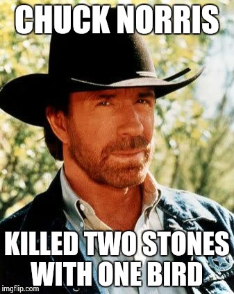 Chuck Norris | CHUCK NORRIS KILLED TWO STONES WITH ONE BIRD | image tagged in chuck norris | made w/ Imgflip meme maker