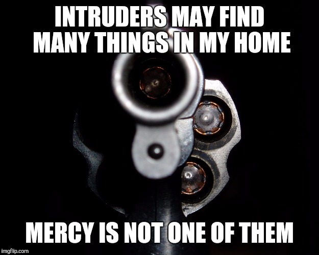 INTRUDERS MAY FIND MANY THINGS IN MY HOME MERCY IS NOT ONE OF THEM | image tagged in guns | made w/ Imgflip meme maker