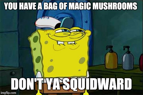 Don't You Squidward Meme | YOU HAVE A BAG OF MAGIC MUSHROOMS DON'T YA SQUIDWARD | image tagged in memes,dont you squidward | made w/ Imgflip meme maker