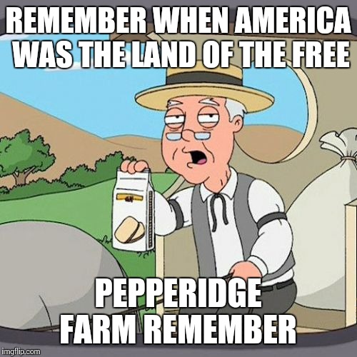 Pepperidge Farm Remembers | REMEMBER WHEN AMERICA WAS THE LAND OF THE FREE PEPPERIDGE FARM REMEMBER | image tagged in memes,pepperidge farm remembers | made w/ Imgflip meme maker