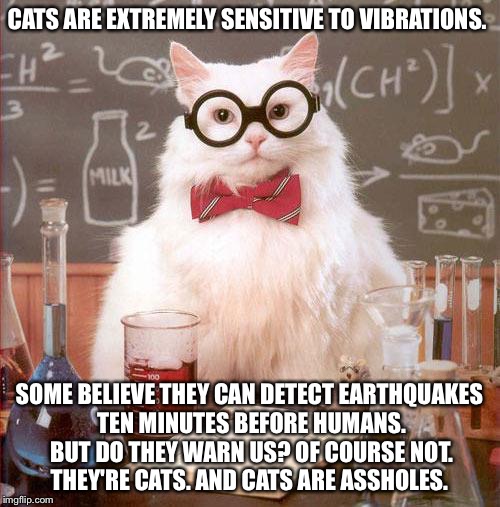Thanks for the heads up.. | CATS ARE EXTREMELY SENSITIVE TO VIBRATIONS. SOME BELIEVE THEY CAN DETECT EARTHQUAKES TEN MINUTES BEFORE HUMANS. BUT DO THEY WARN US? OF COUR | image tagged in science cat,funny,memes,funny memes,cats | made w/ Imgflip meme maker
