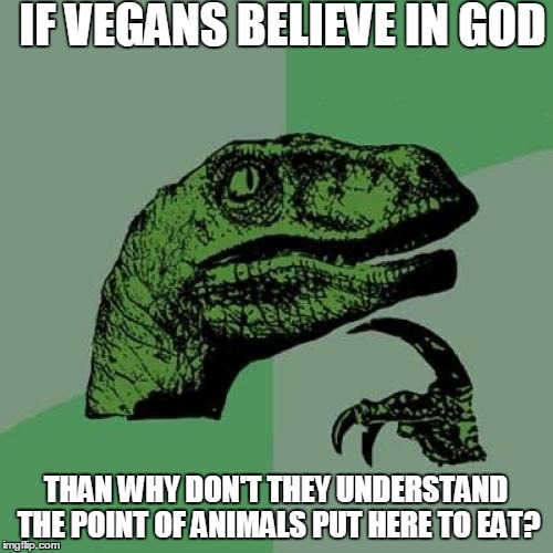 Philosoraptor Meme | IF VEGANS BELIEVE IN GOD THAN WHY DON'T THEY UNDERSTAND THE POINT OF ANIMALS PUT HERE TO EAT? | image tagged in memes,philosoraptor | made w/ Imgflip meme maker