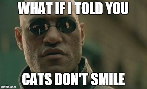 Matrix Morpheus Meme | WHAT IF I TOLD YOU CATS DON'T SMILE | image tagged in memes,matrix morpheus | made w/ Imgflip meme maker