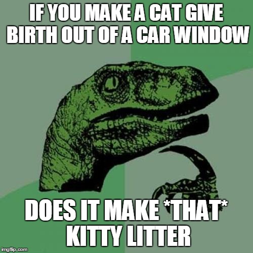 Philosoraptor Meme | IF YOU MAKE A CAT GIVE BIRTH OUT OF A CAR WINDOW DOES IT MAKE *THAT* KITTY LITTER | image tagged in memes,philosoraptor | made w/ Imgflip meme maker