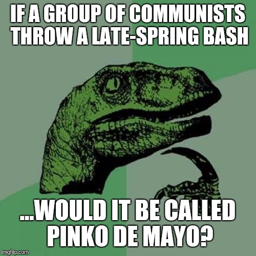 Philosoraptor | IF A GROUP OF COMMUNISTS THROW A LATE-SPRING BASH ...WOULD IT BE CALLED PINKO DE MAYO? | image tagged in memes,philosoraptor | made w/ Imgflip meme maker