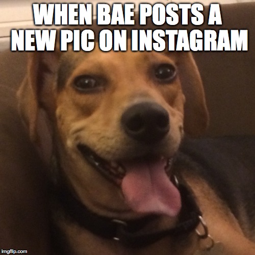 WHEN BAE POSTS A NEW PIC ON INSTAGRAM | image tagged in rambo | made w/ Imgflip meme maker