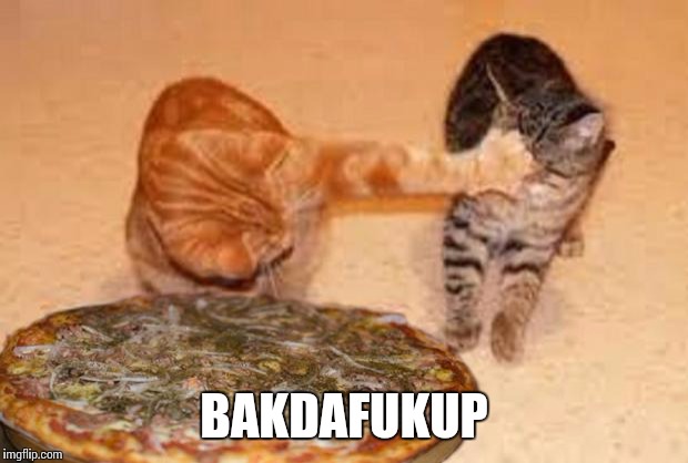 gatos tomate loco pizza | BAKDAFUKUP | image tagged in gatos tomate loco pizza | made w/ Imgflip meme maker