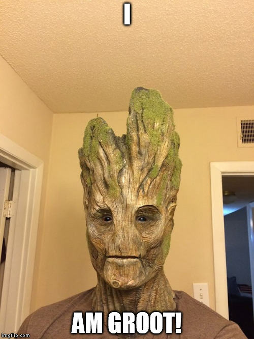 I AM GROOT! | image tagged in groot | made w/ Imgflip meme maker