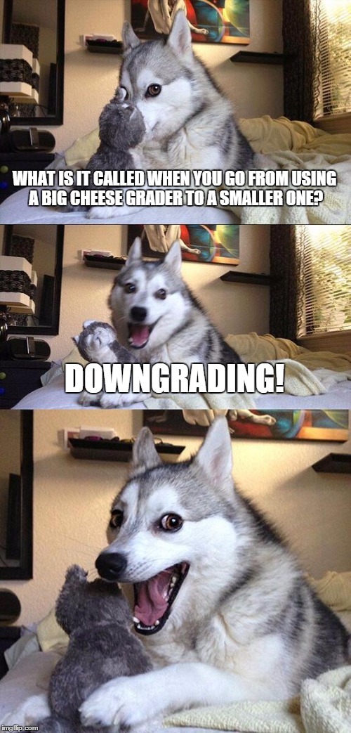 Bad Pun Dog | WHAT IS IT CALLED WHEN YOU GO FROM USING A BIG CHEESE GRADER TO A SMALLER ONE? DOWNGRADING! | image tagged in memes,bad pun dog | made w/ Imgflip meme maker