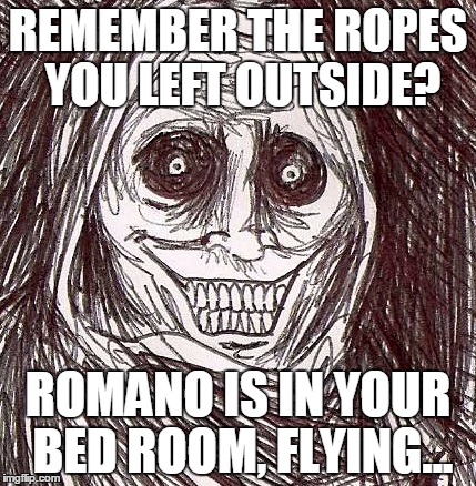 Unwanted House Guest | REMEMBER THE ROPES YOU LEFT OUTSIDE? ROMANO IS IN YOUR BED ROOM, FLYING... | image tagged in memes,unwanted house guest | made w/ Imgflip meme maker