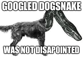 Googled Dogsnake and was very pleased with what I found | GOOGLED DOGSNAKE WAS NOT DISAPOINTED | image tagged in original meme,google images,funny memes,best meme,memes,funny | made w/ Imgflip meme maker
