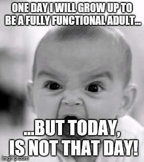Functional Adult | ONE DAY I WILL GROW UP TO BE A FULLY FUNCTIONAL ADULT... ...BUT TODAY, IS NOT THAT DAY! | image tagged in memes,angry baby,adult,today is not that day | made w/ Imgflip meme maker