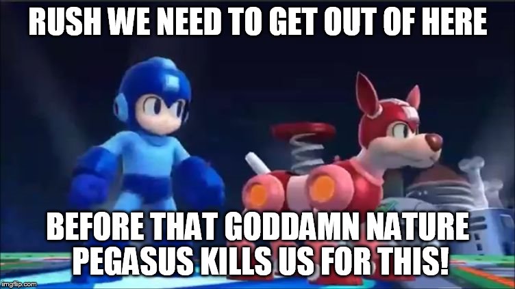 Megaman and Rush | RUSH WE NEED TO GET OUT OF HERE BEFORE THAT GO***MN NATURE PEGASUS KILLS US FOR THIS! | image tagged in megaman and rush | made w/ Imgflip meme maker