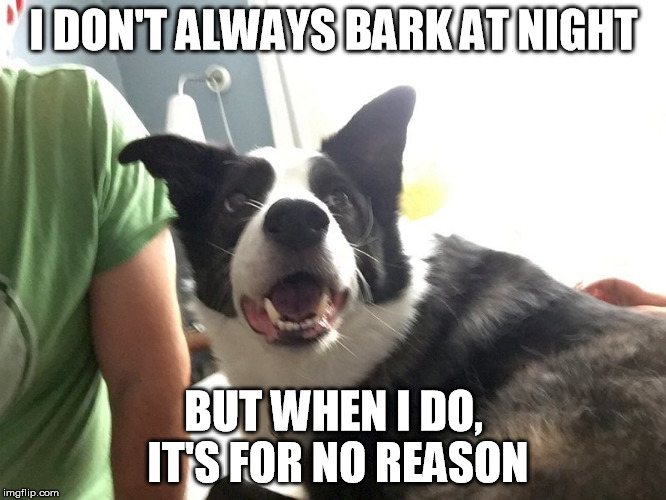 Jack-MWGL | I DON'T ALWAYS BARK AT NIGHT BUT WHEN I DO, IT'S FOR NO REASON | image tagged in jack-mwgl | made w/ Imgflip meme maker