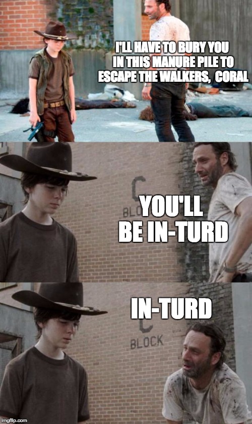 Rick and Carl 3 Meme | I'LL HAVE TO BURY YOU IN THIS MANURE PILE TO ESCAPE THE WALKERS, 
CORAL YOU'LL BE IN-TURD IN-TURD | image tagged in memes,rick and carl 3,HeyCarl | made w/ Imgflip meme maker