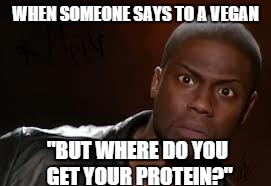 Kevin Hart Meme | WHEN SOMEONE SAYS TO A VEGAN "BUT WHERE DO YOU GET YOUR PROTEIN?" | image tagged in memes,kevin hart the hell | made w/ Imgflip meme maker