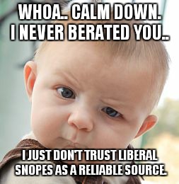 Skeptical Baby Meme | WHOA.. CALM DOWN. I NEVER BERATED YOU.. I JUST DON'T TRUST LIBERAL SNOPES AS A RELIABLE SOURCE. | image tagged in memes,skeptical baby | made w/ Imgflip meme maker