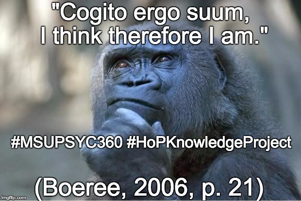 The thinking gorilla | "Cogito ergo suum, I think therefore I am." (Boeree, 2006, p. 21) #MSUPSYC360 #HoPKnowledgeProject | image tagged in the thinking gorilla | made w/ Imgflip meme maker