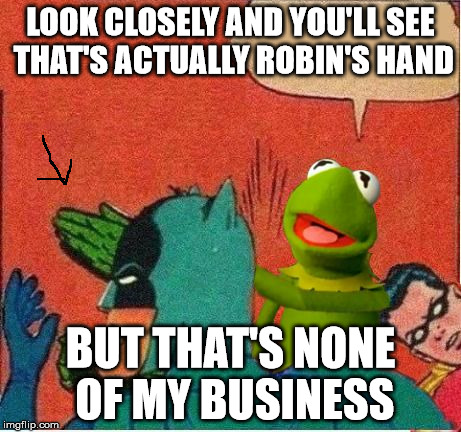 Kermit saving Robin | LOOK CLOSELY AND YOU'LL SEE THAT'S ACTUALLY ROBIN'S HAND BUT THAT'S NONE OF MY BUSINESS | image tagged in kermit saving robin | made w/ Imgflip meme maker