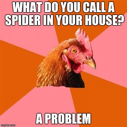 Anti Joke Chicken Meme | WHAT DO YOU CALL A SPIDER IN YOUR HOUSE? A PROBLEM | image tagged in memes,anti joke chicken | made w/ Imgflip meme maker