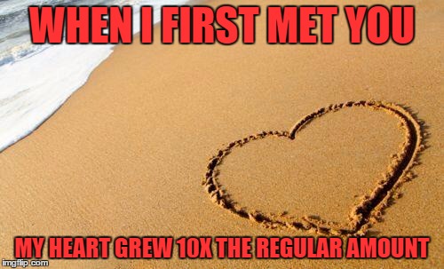 Beach Heart  | WHEN I FIRST MET YOU MY HEART GREW 10X THE REGULAR AMOUNT | image tagged in beach heart  | made w/ Imgflip meme maker
