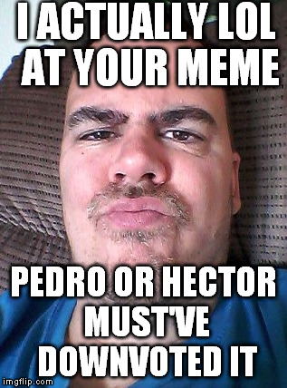 Scowl | I ACTUALLY LOL AT YOUR MEME PEDRO OR HECTOR MUST'VE DOWNVOTED IT | image tagged in scowl | made w/ Imgflip meme maker