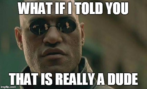 Matrix Morpheus Meme | WHAT IF I TOLD YOU THAT IS REALLY A DUDE | image tagged in memes,matrix morpheus | made w/ Imgflip meme maker