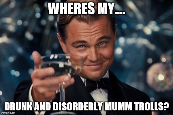 Leonardo Dicaprio Cheers Meme | WHERES MY.... DRUNK AND DISORDERLY MUMM TROLLS? | image tagged in memes,leonardo dicaprio cheers | made w/ Imgflip meme maker