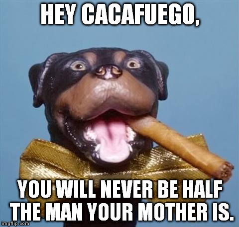 Triumph the Insult Comic Dog | HEY CACAFUEGO, YOU WILL NEVER BE HALF THE MAN YOUR MOTHER IS. | image tagged in triumph the insult comic dog | made w/ Imgflip meme maker