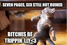 SEVEN PAGES, SEX STILL NOT RUINED B**CHES BE TRIPPIN

LLY<3 | made w/ Imgflip meme maker