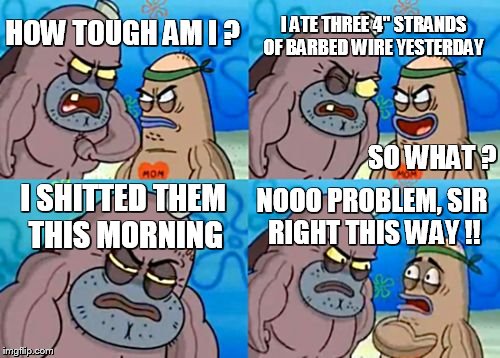 How Tough Are You | HOW TOUGH AM I ? I ATE THREE 4" STRANDS OF BARBED WIRE YESTERDAY I SHITTED THEM THIS MORNING NOOO PROBLEM, SIR RIGHT THIS WAY !! SO WHAT ? | image tagged in memes,how tough are you | made w/ Imgflip meme maker