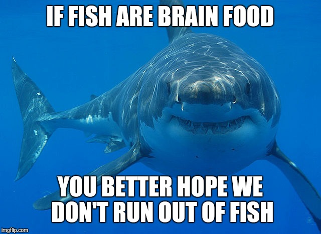 Zombogic says .. sharks are just wet zombies  | IF FISH ARE BRAIN FOOD YOU BETTER HOPE WE DON'T RUN OUT OF FISH | image tagged in great white shark,zombie,zombogic,hunger,fish | made w/ Imgflip meme maker