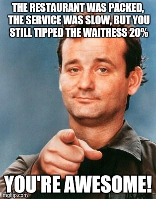 Bill Murray You're Awesome | THE RESTAURANT WAS PACKED, THE SERVICE WAS SLOW, BUT YOU STILL TIPPED THE WAITRESS 20% YOU'RE AWESOME! | image tagged in bill murray you're awesome | made w/ Imgflip meme maker