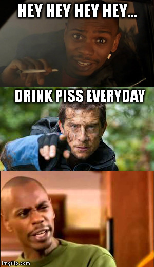 Dave interrupted by Bear | HEY HEY HEY HEY... DRINK PISS EVERYDAY | image tagged in memes | made w/ Imgflip meme maker