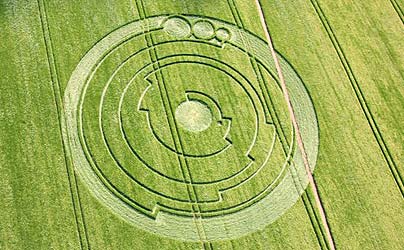 crop circle truth Blank Meme Template