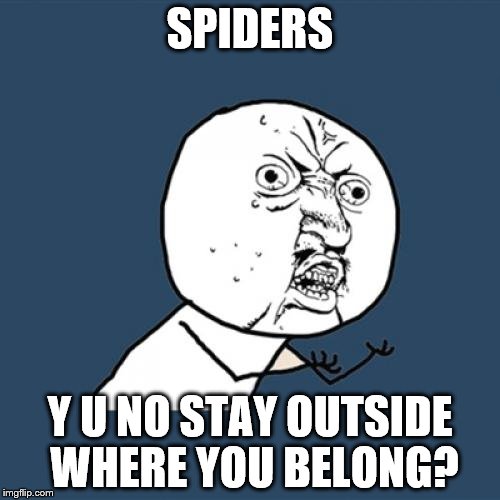 Y U No | SPIDERS Y U NO STAY OUTSIDE WHERE YOU BELONG? | image tagged in memes,y u no | made w/ Imgflip meme maker