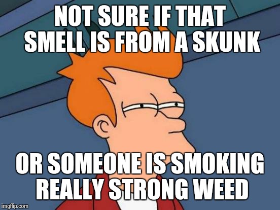 Futurama Fry Meme | NOT SURE IF THAT SMELL IS FROM A SKUNK OR SOMEONE IS SMOKING REALLY STRONG WEED | image tagged in memes,futurama fry,AdviceAnimals | made w/ Imgflip meme maker