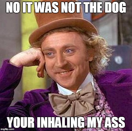 Creepy Condescending Wonka | NO IT WAS NOT THE DOG YOUR INHALING MY ASS | image tagged in memes,creepy condescending wonka | made w/ Imgflip meme maker