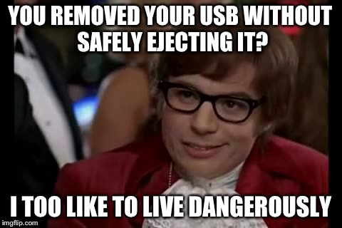 I Too Like To Live Dangerously Meme | YOU REMOVED YOUR USB WITHOUT SAFELY EJECTING IT? I TOO LIKE TO LIVE DANGEROUSLY | image tagged in memes,i too like to live dangerously | made w/ Imgflip meme maker
