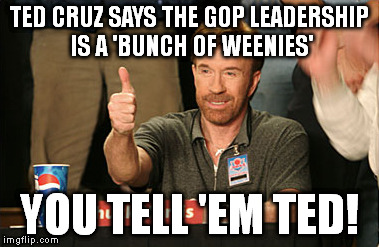 Chuck Norris Approves | TED CRUZ SAYS THE GOP LEADERSHIP IS A 'BUNCH OF WEENIES' YOU TELL 'EM TED! | image tagged in memes,chuck norris approves | made w/ Imgflip meme maker