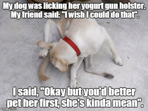 I wish... | My dog was licking her yogurt gun holster. My friend said: "I wish I could do that". I said, "Okay but you'd better pet her first, she's kin | image tagged in licking | made w/ Imgflip meme maker
