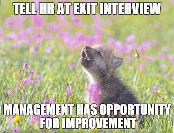 Baby Insanity Wolf Meme | TELL HR AT EXIT INTERVIEW MANAGEMENT HAS OPPORTUNITY FOR IMPROVEMENT | image tagged in memes,baby insanity wolf,AdviceAnimals | made w/ Imgflip meme maker