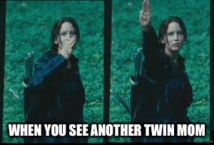 hunger games | WHEN YOU SEE ANOTHER TWIN MOM | image tagged in hunger games | made w/ Imgflip meme maker