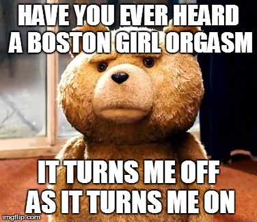 TED | HAVE YOU EVER HEARD A BOSTON GIRL ORGASM IT TURNS ME OFF AS IT TURNS ME ON | image tagged in memes,ted | made w/ Imgflip meme maker