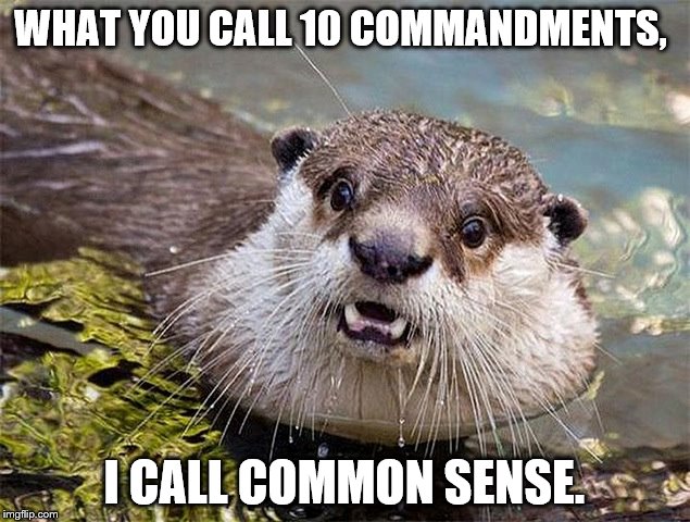 WHAT YOU CALL 10 COMMANDMENTS, I CALL COMMON SENSE. | image tagged in church,sunday,religion | made w/ Imgflip meme maker