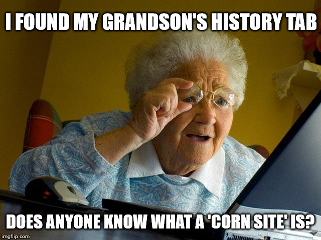 Grandma sees history | I FOUND MY GRANDSON'S HISTORY TAB DOES ANYONE KNOW WHAT A 'CORN SITE' IS? | image tagged in memes,grandma finds the internet,grandson,shocking | made w/ Imgflip meme maker